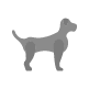Dog Figure