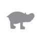 Hippo