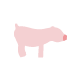 Pig Figure
